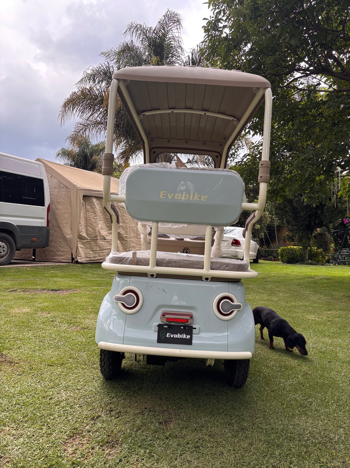 Golf Plus