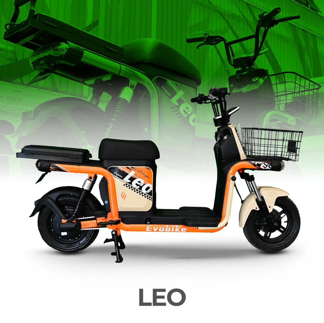 Leo