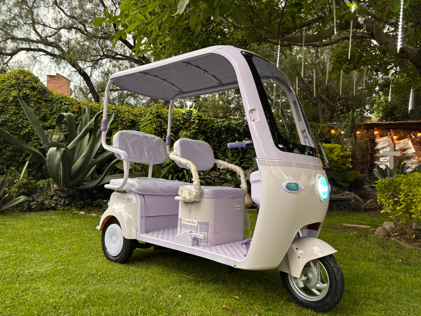 Golf Plus