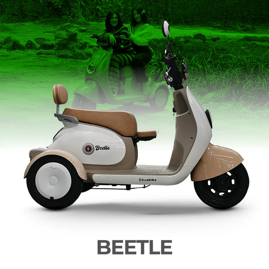 Beetle