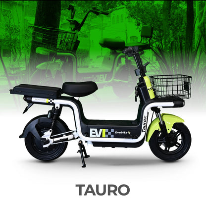 Tauro
