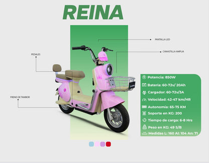 Reina