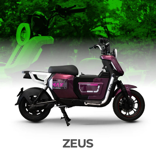 Zeus