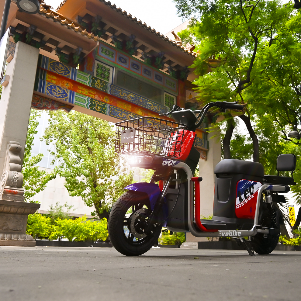 Leo – Evobike Izcalli, Cuautitlan & Tultepec (Distribuidor autorizado)